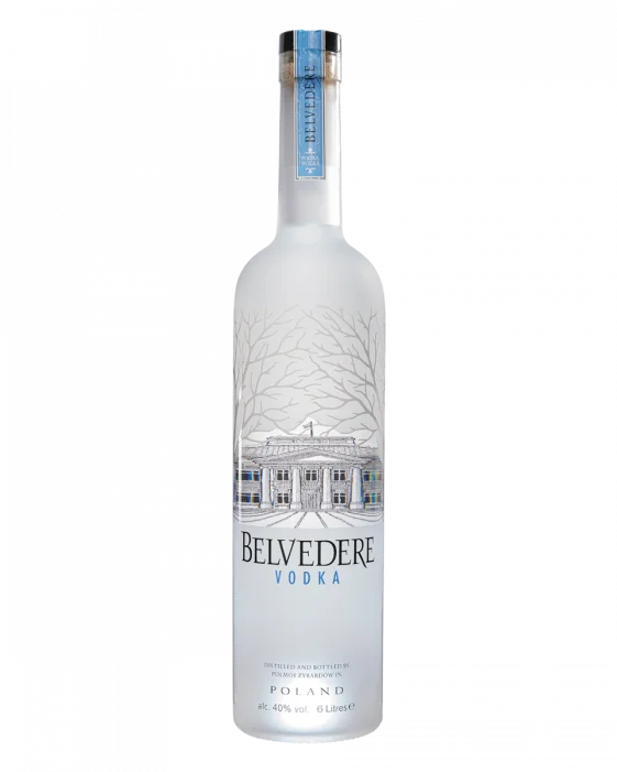 PLAIN VODKA Supplier in Gurugram, Haryana